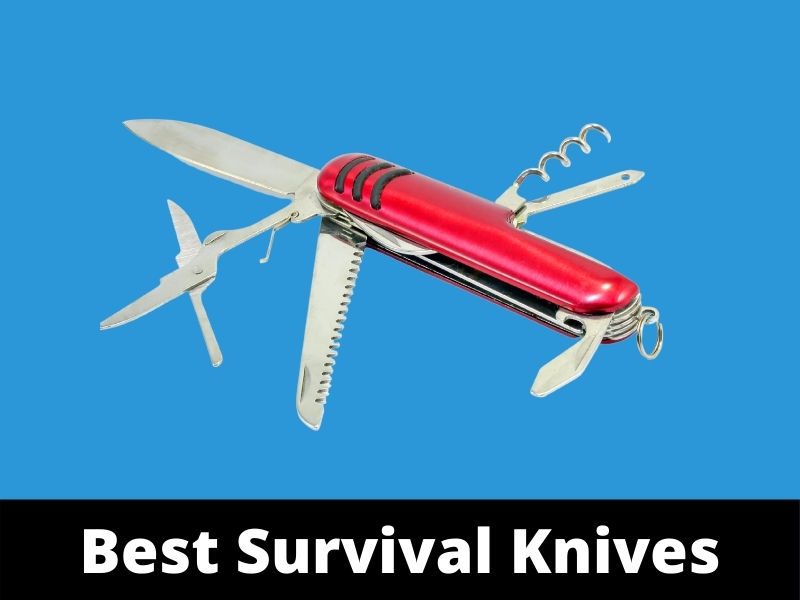Best Survival Knives